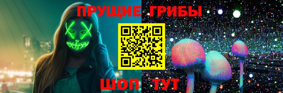 Заречный  Галлюциногенные грибы Cubensis  Вход с VPN  Псилоцибиновые грибы Psilocybe 